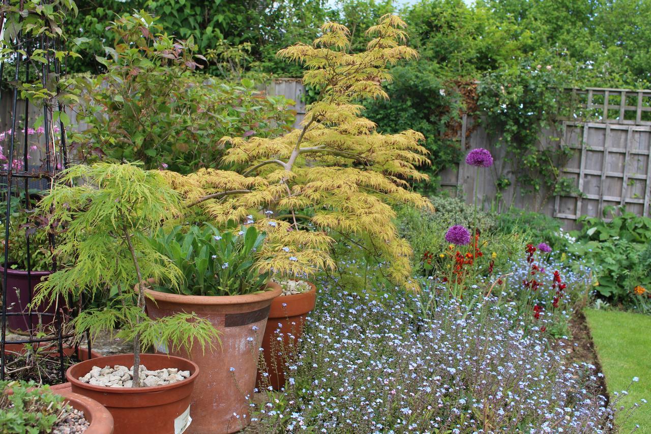 Laurels Guesthouse Witney Exterior foto